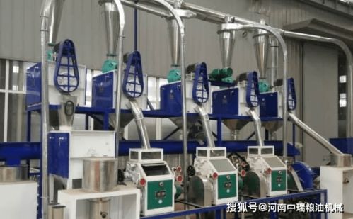 高效生產(chǎn)，靈活加工 小中大型玉米面加工設(shè)備與柔性材料加工設(shè)備的技術(shù)與應(yīng)用解析