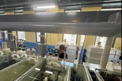 產業快訊 百宏集團BOPET新線投產，光莆股份5G柔性材料項目試產